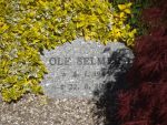 Ole Selmer.jpg